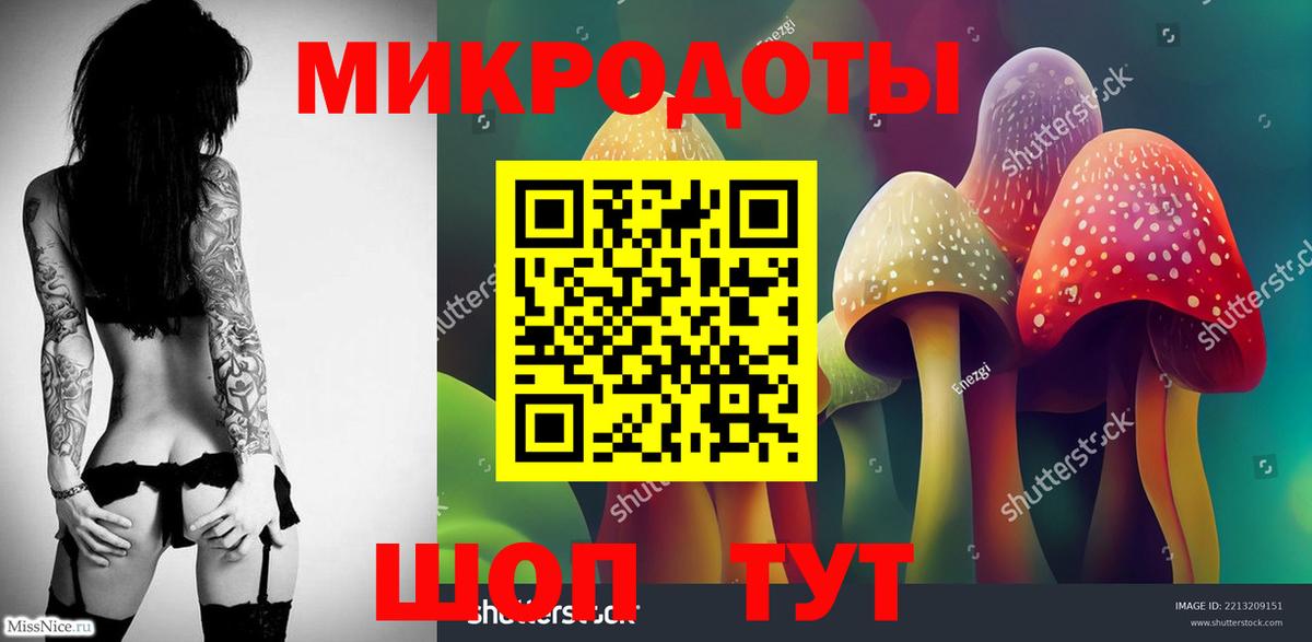 Выборг  Галлюциногенные грибы Psilocybine cubensis  Вход с VPN 